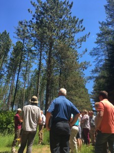 35165228840_d430f48ba5_o