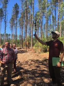 35384453712_144e8266aa_o